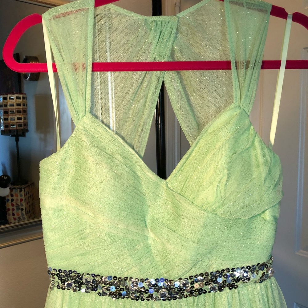 Beautiful Sparkling Pastel Green long dress